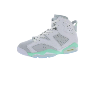 AIR JORDAN 6 RETRO